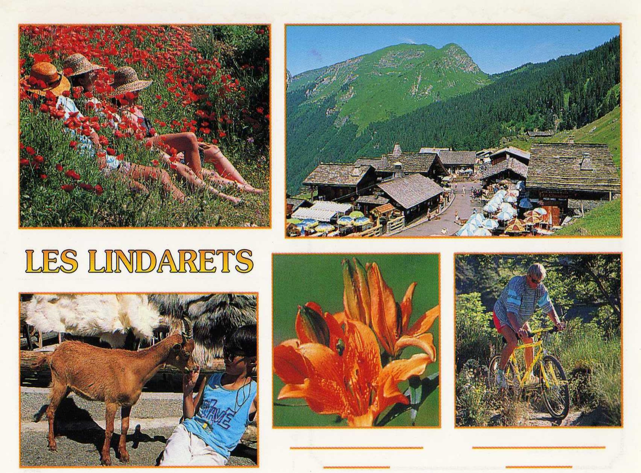 Lindarets