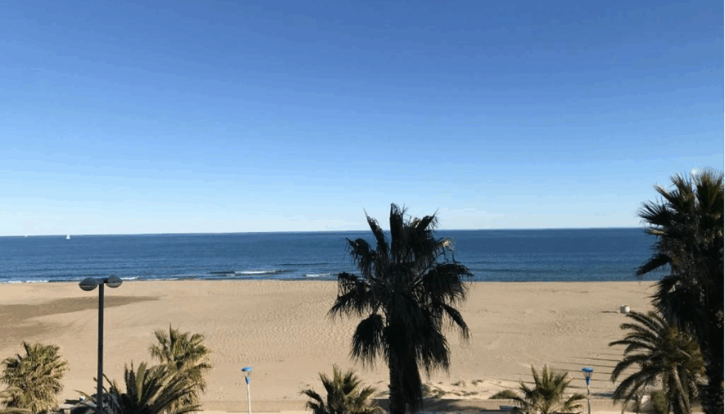 Canet