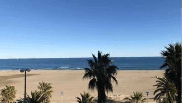 Canet Canet